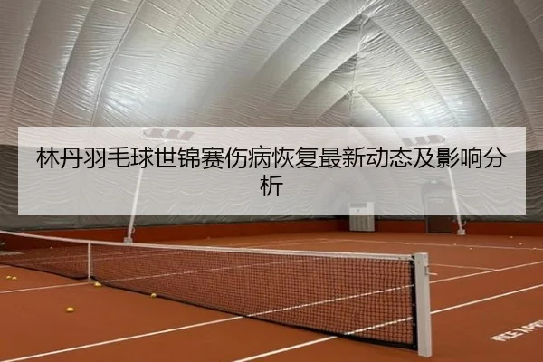 林丹羽毛球世锦赛伤病恢复最新动态及影响分析（www.kaiyun.com）